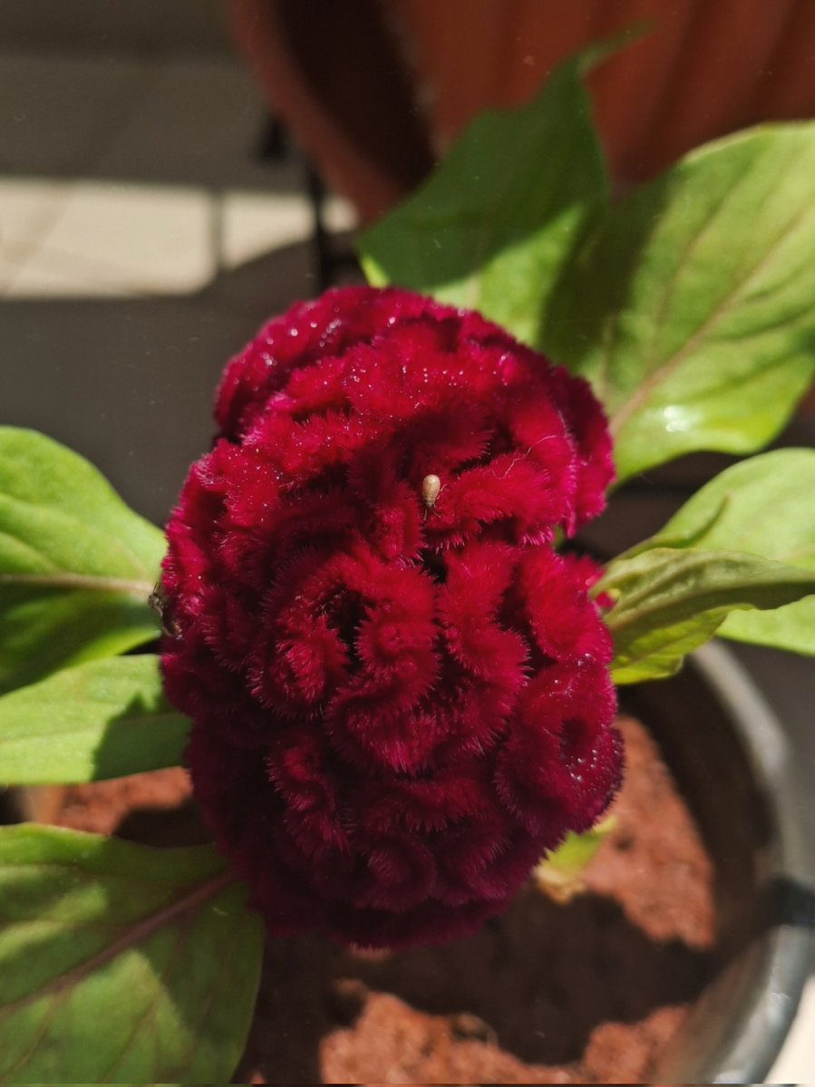 ಅಜಯ್05 tweet media