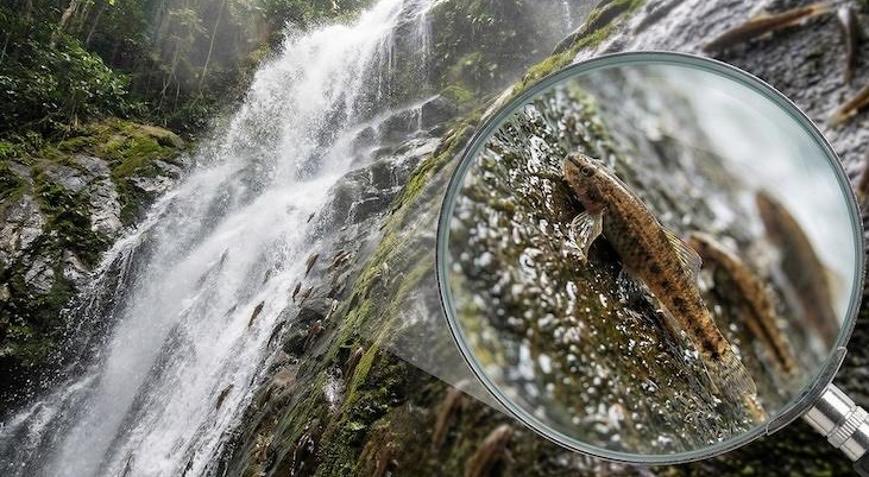 Haber Aldık tweet media