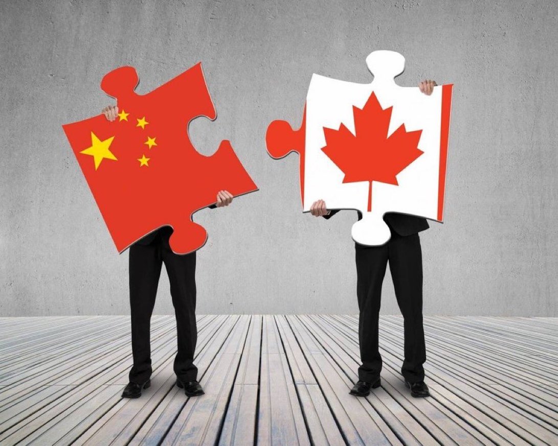 Concerned Canadian tweet media