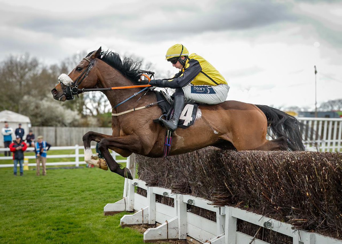 Plumpton Racecourse tweet media