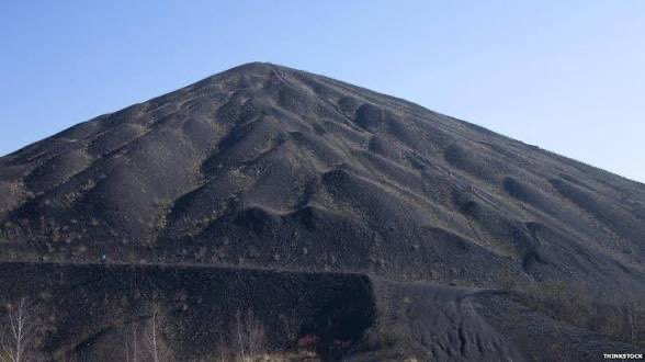 Catbird on a stick tweet media