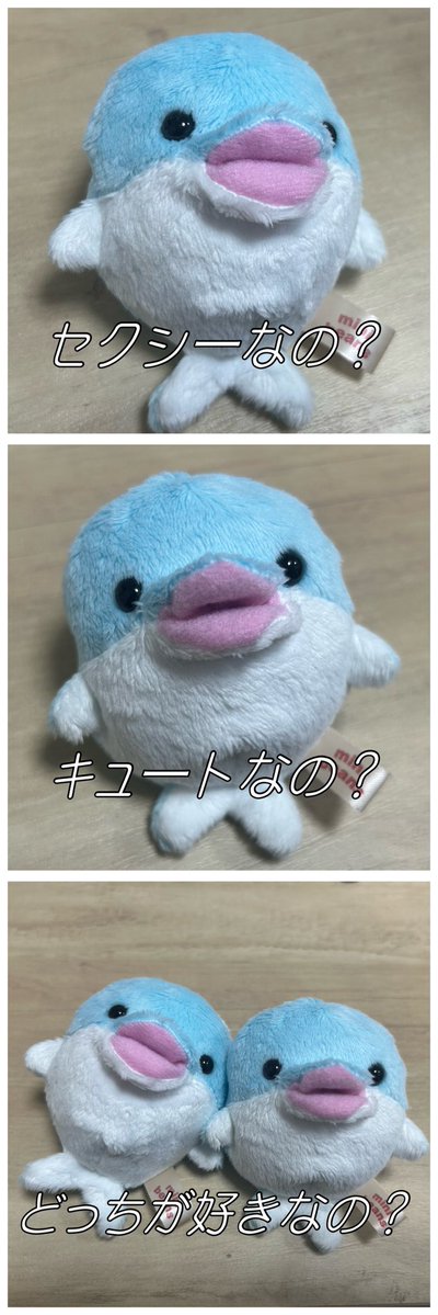 まめ子 tweet media