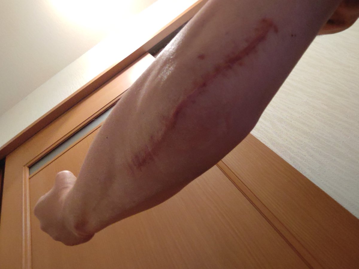 GuN🎸RocK🎣 tweet media