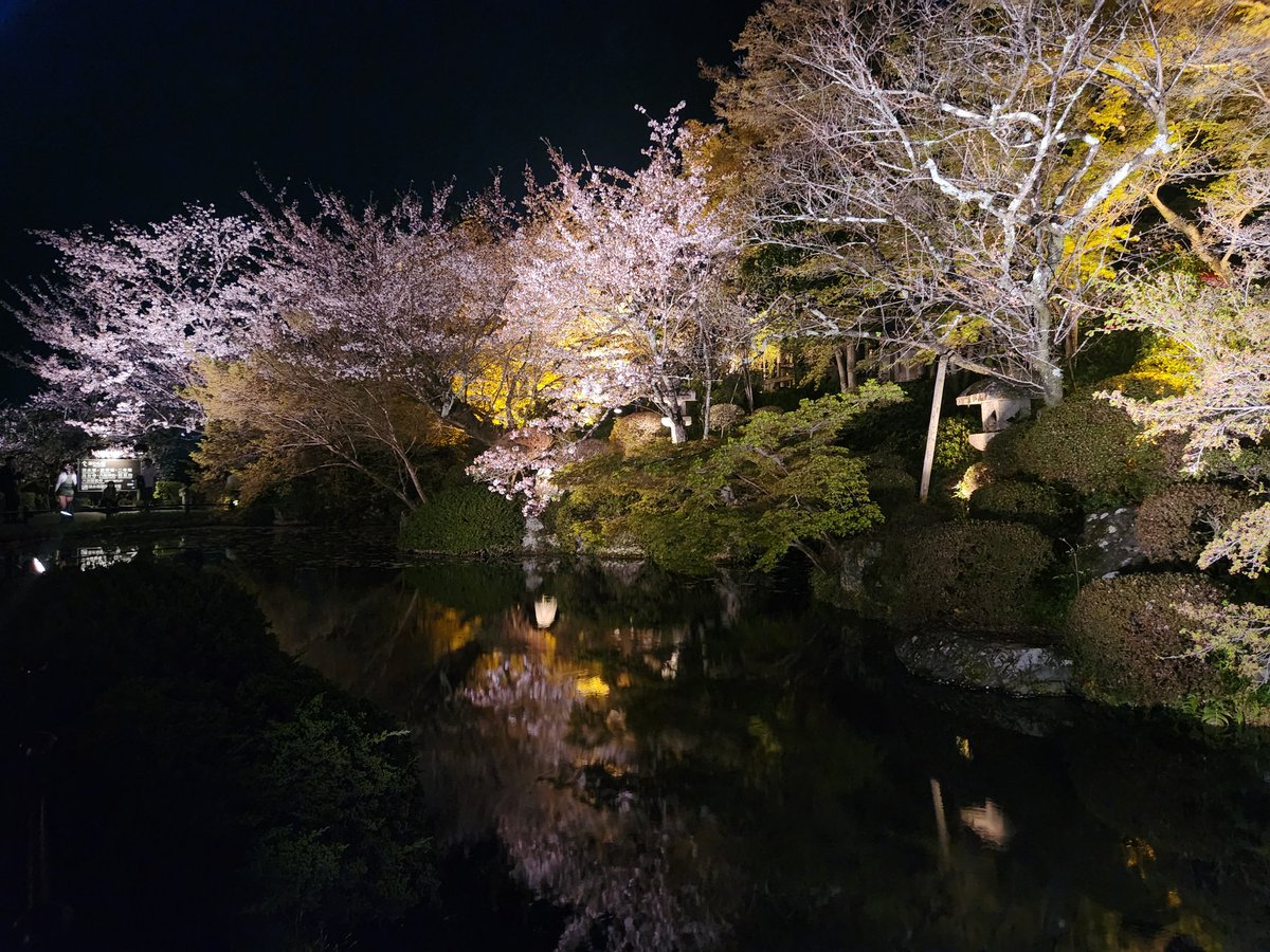 まっきー。 tweet media