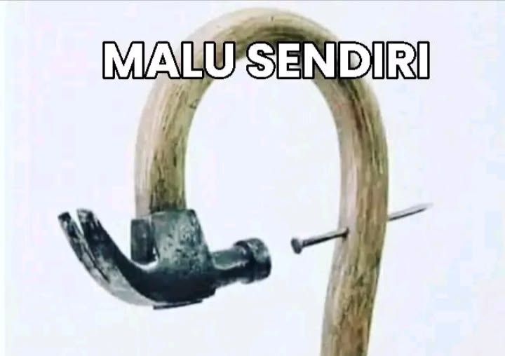 Vely🍬 tweet media