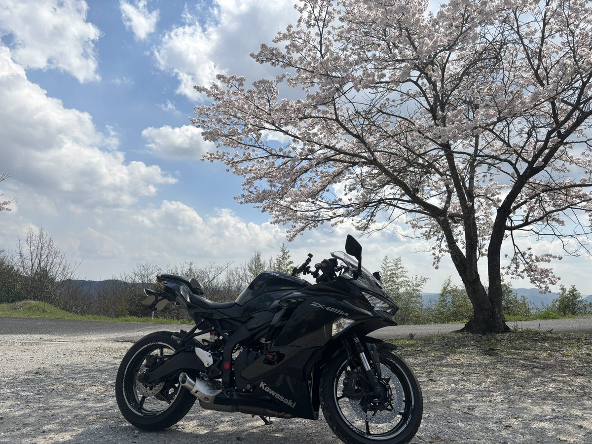 まいぽりさぶ tweet media