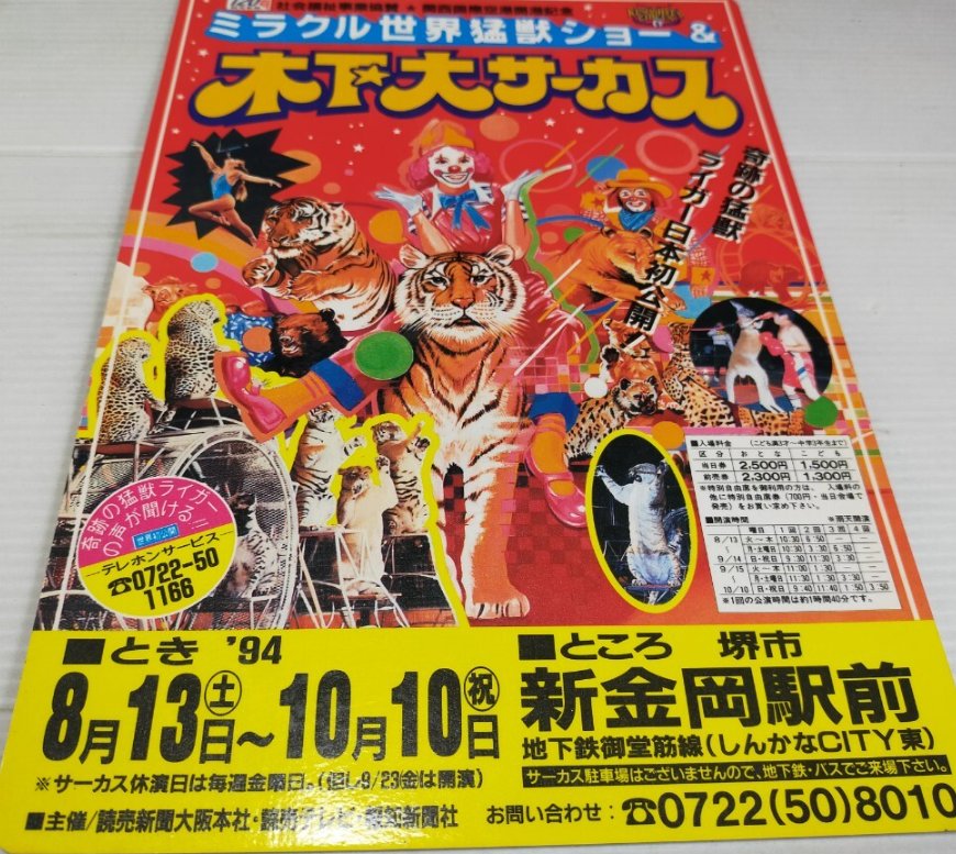 しょややん tweet media