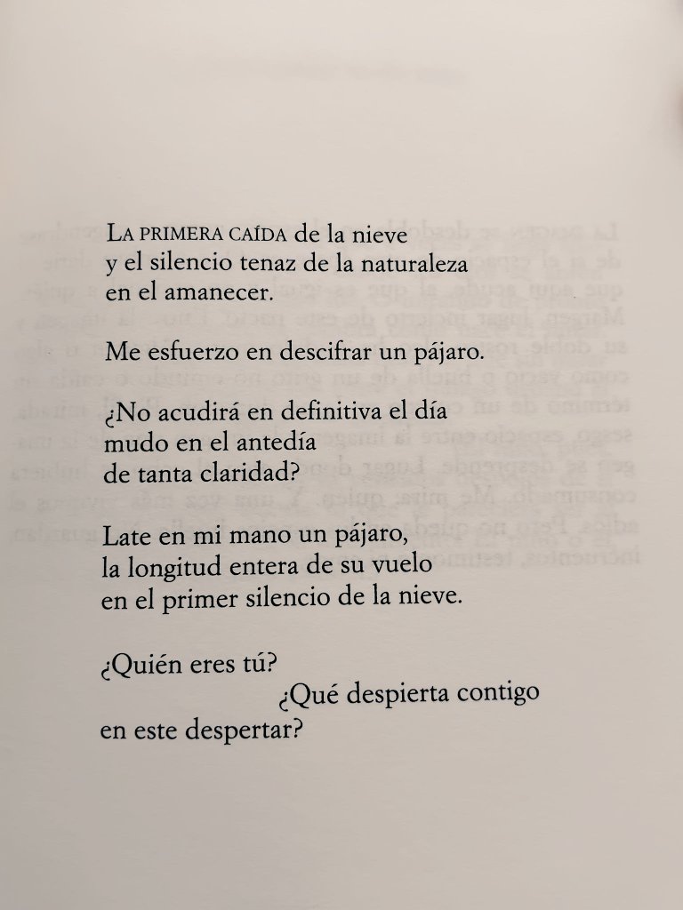 mar_inquieta's tweet photo. «Me esfuerzo en descifrar un pájaro»,
leíste. 
como si el mundo fuera un leve enigma,
como si en cada ala latiera un idioma antiguo.

Y yo te miraba,
intentando descifrarte a ti,
mientras el pájaro
—ajeno a nuestros intentos—
seguía escribiendo en el aire
su única verdad posible. https://t.co/bAzzuBi2Y1