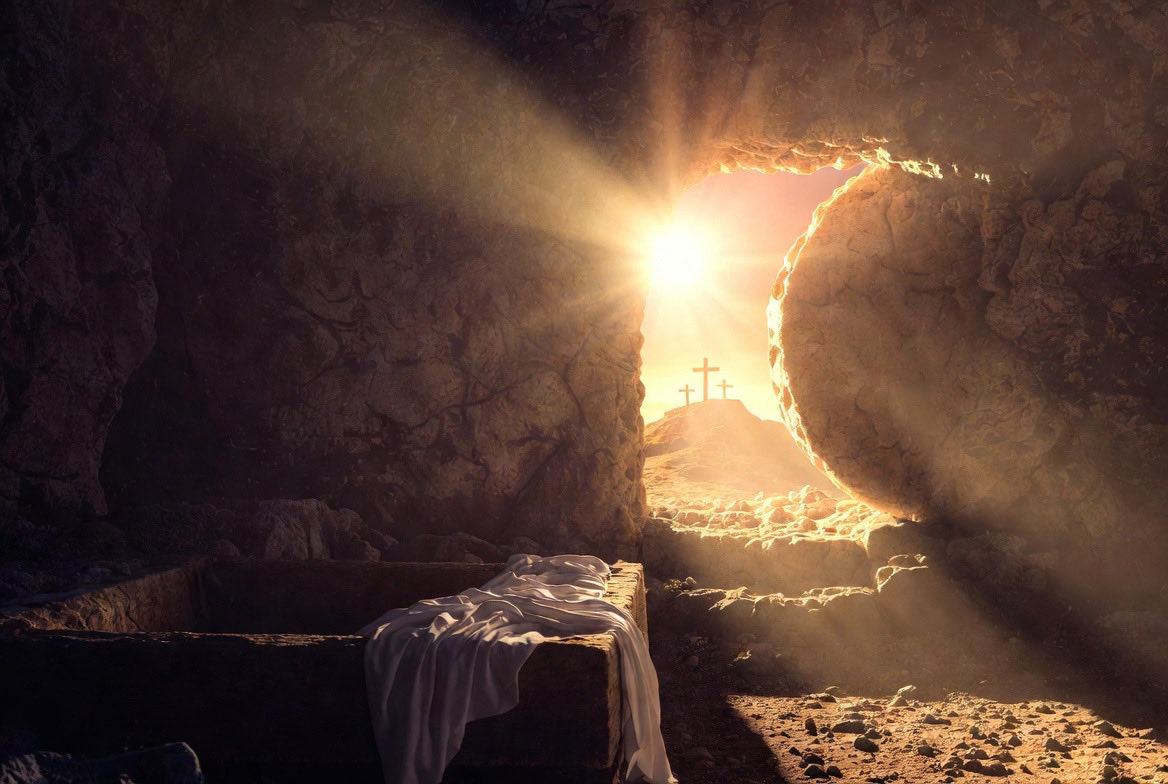 Dan Woog tweet media