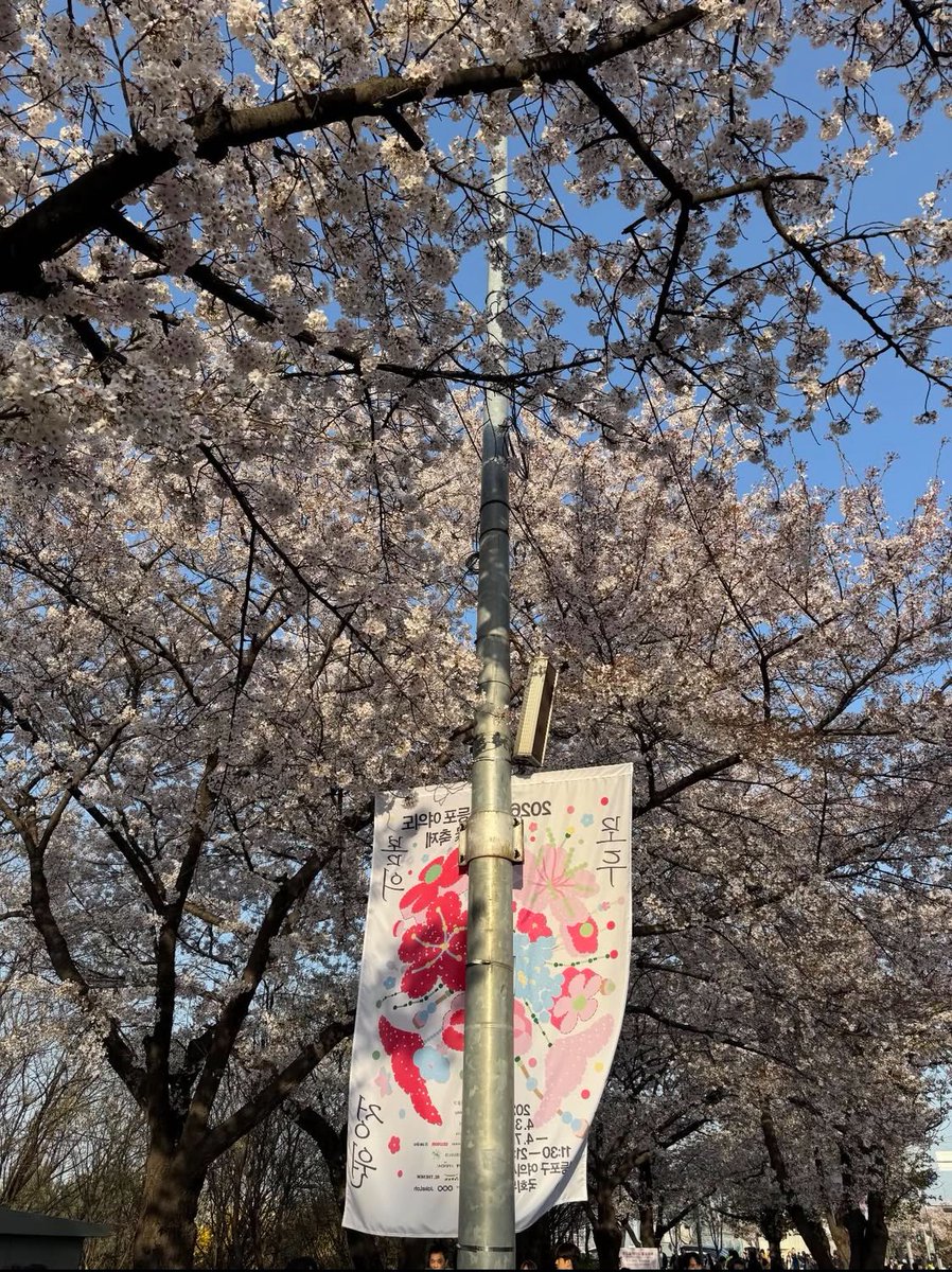 celeste 🇰🇷🇺🇸 tweet media