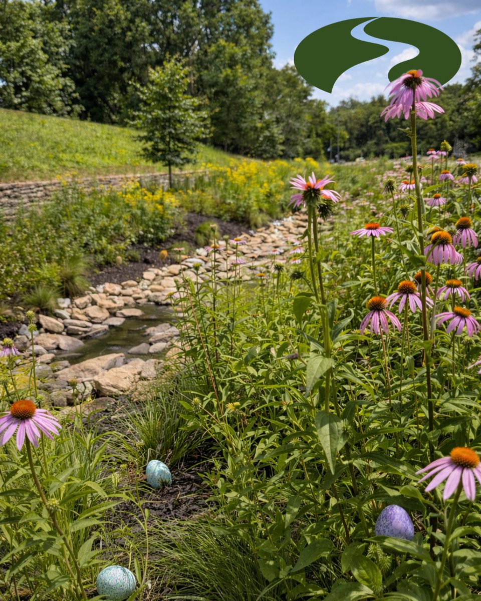 Look closer—nature’s full of surprises.

Wishing you a Happy Easter filled with renewal, growth, and a fresh perspective! 

#WilliamsCreek #Easter