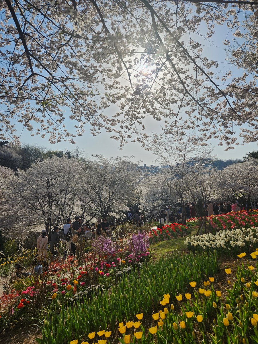 аня 24/7=Heaven 💜 ⊙⊝⊜ tweet media