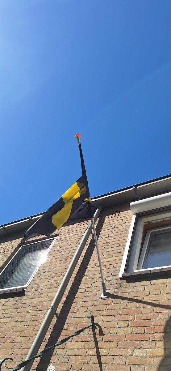 Cindy B. tweet media