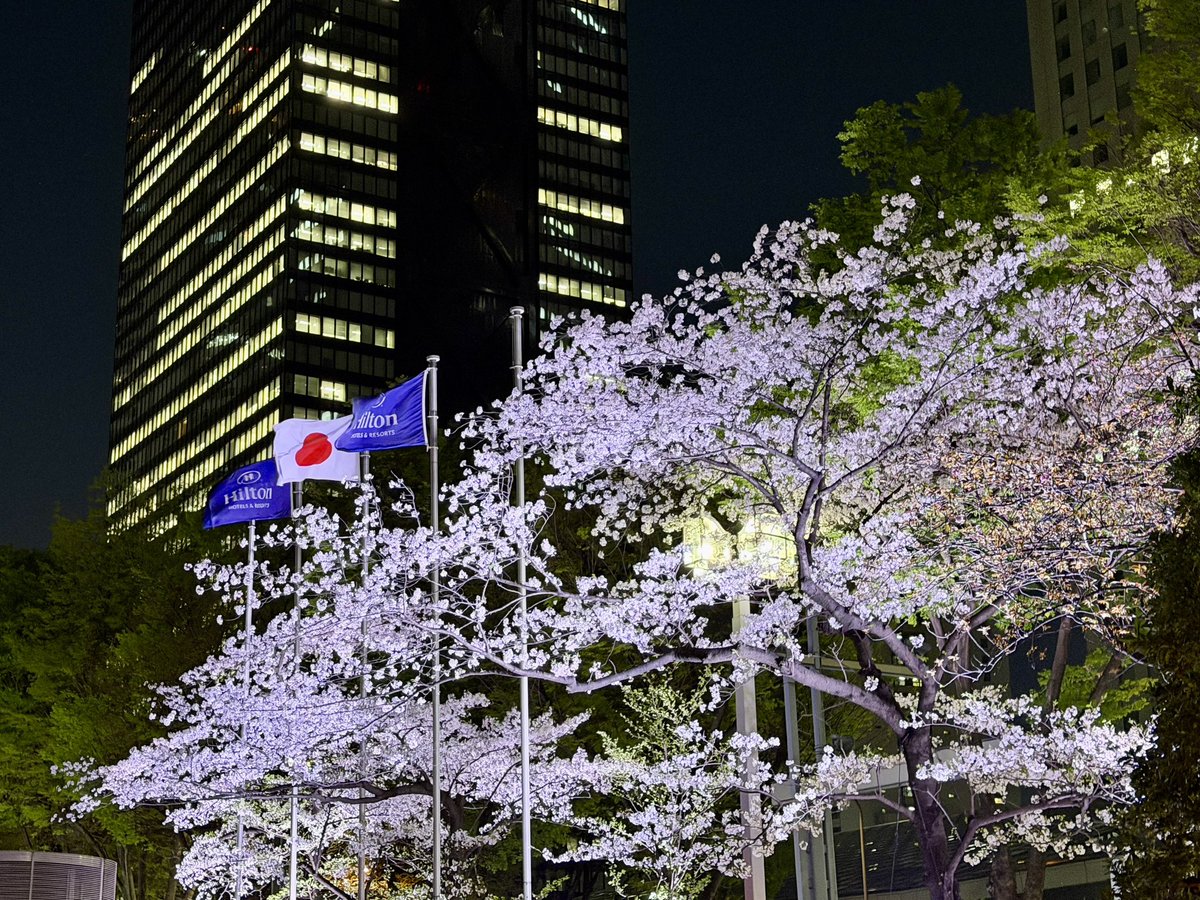 kazmozdoz tweet media