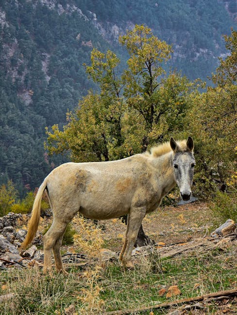 Rachel Butler tweet media