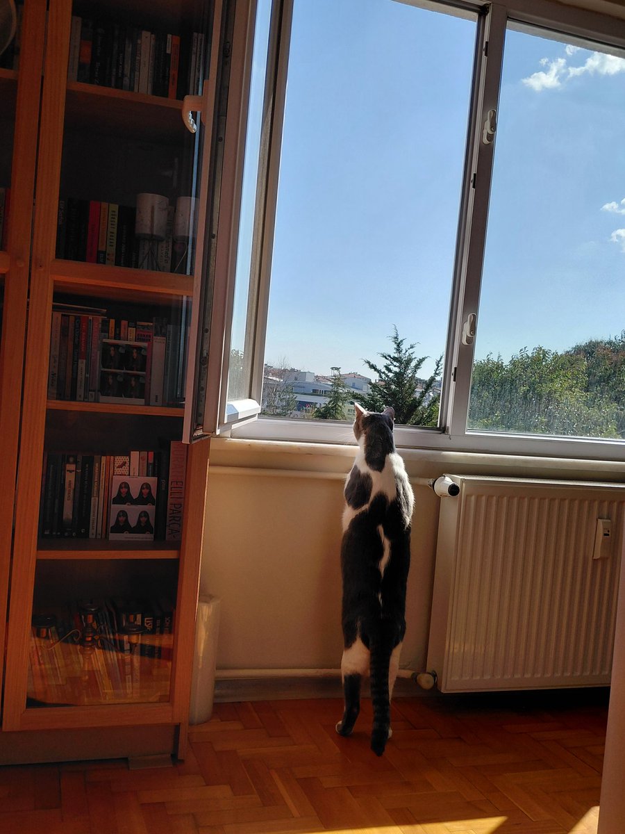 Sokağa hasret oğlum😻