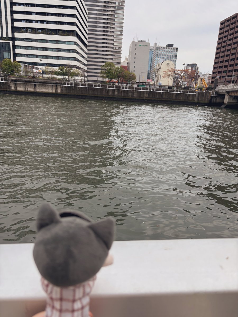 umauma_okaka's tweet photo. 今日はぼにとさんと1日遊んでもらいました〜〜🥰最終話聖地巡礼出来てほんとに楽しかった👏✨️
りくおじ食べられるカフェに行ったり、コラボルーム満喫したり、🍣屋さんも行ってこれました！もうめちゃくちゃ美味しかった！！ https://t.co/0wfJPMddmz