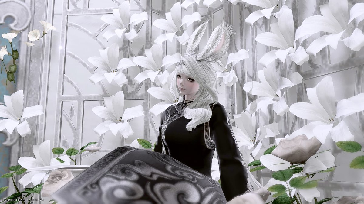 NUUN NUME tweet media