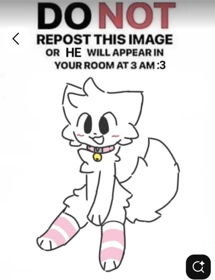 a ౨ৎ⋆˚｡🌸 tweet media