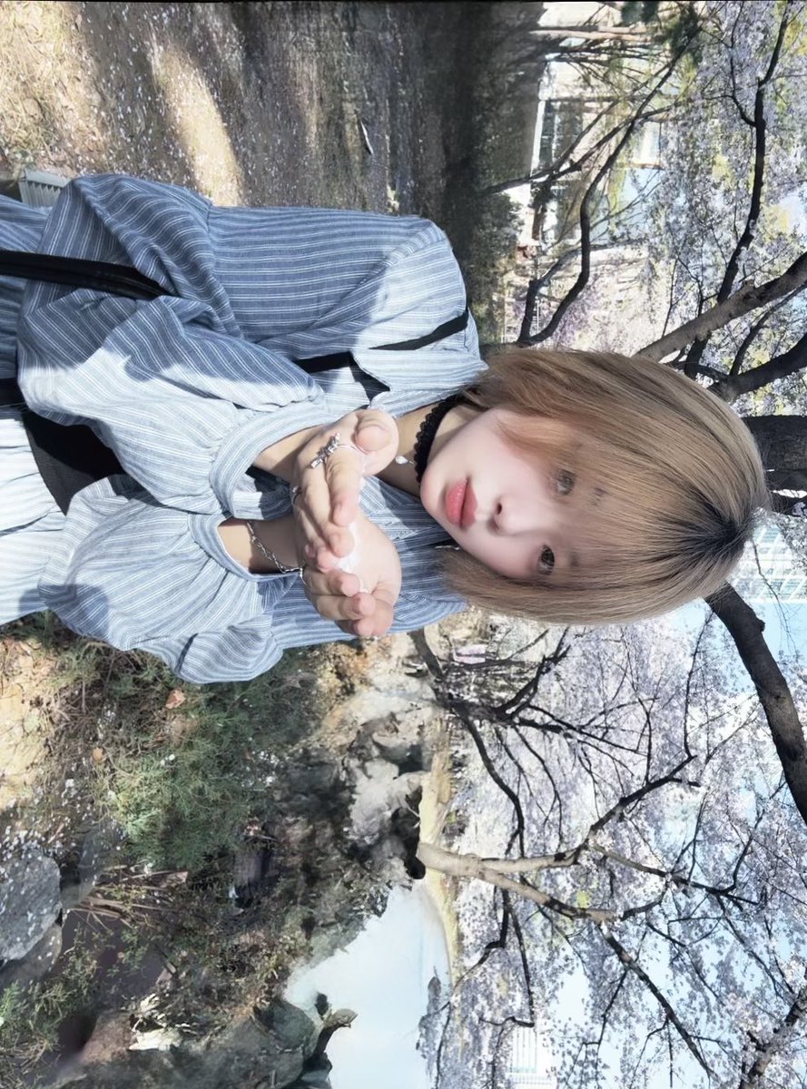 김볶밥 tweet media