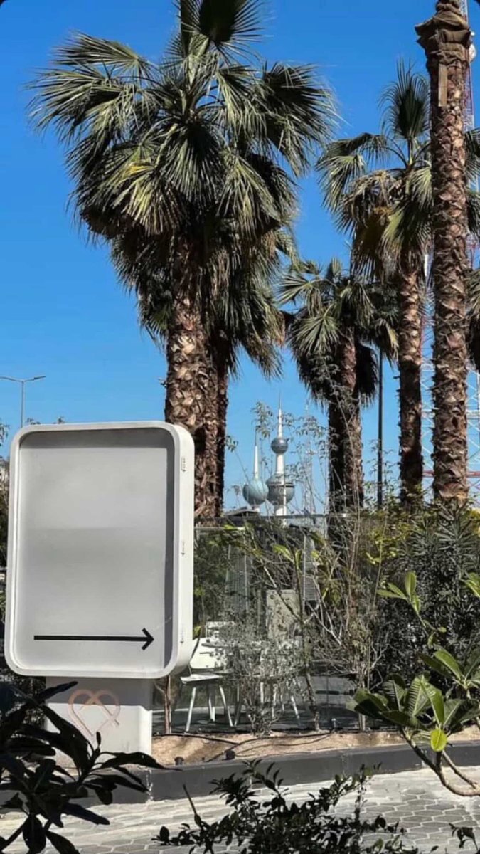 صالح المطيريّ tweet media