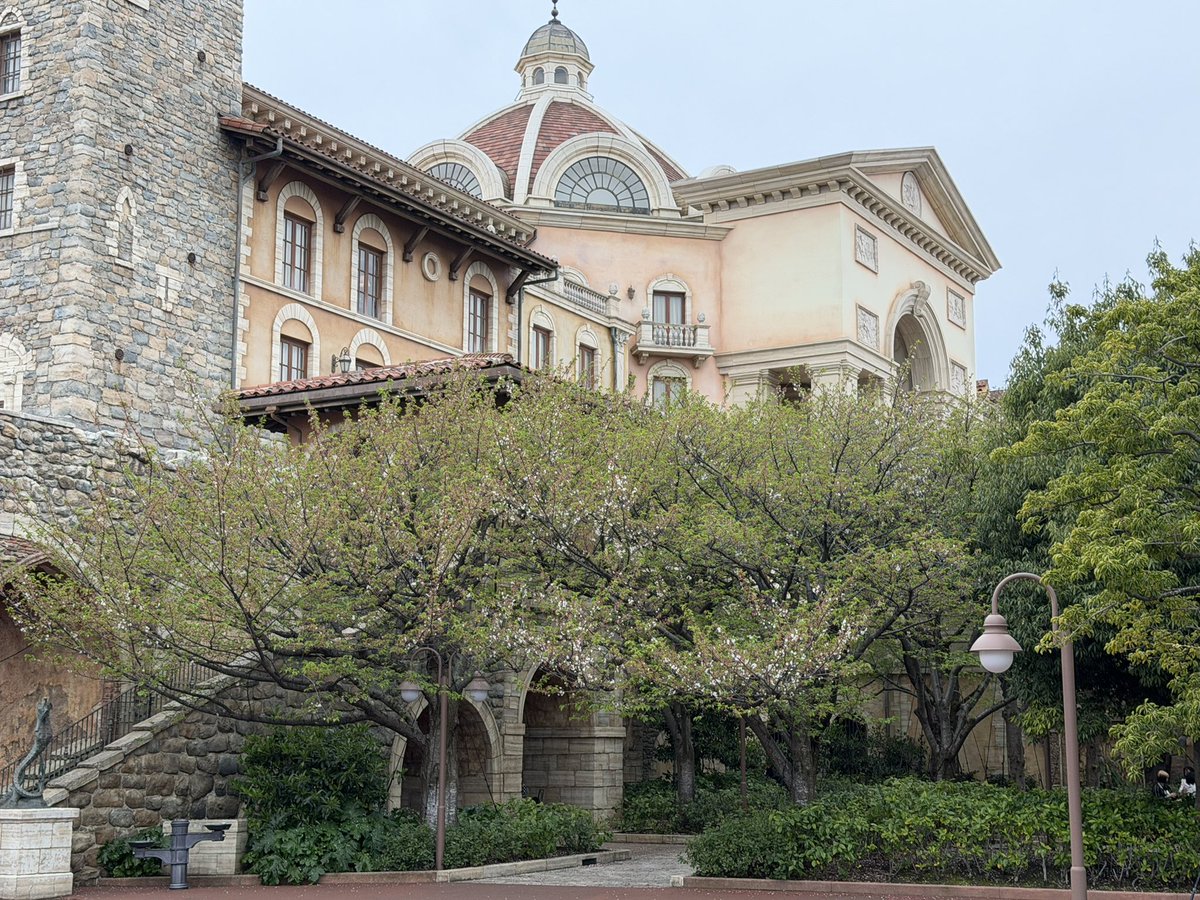 まつこ tweet media