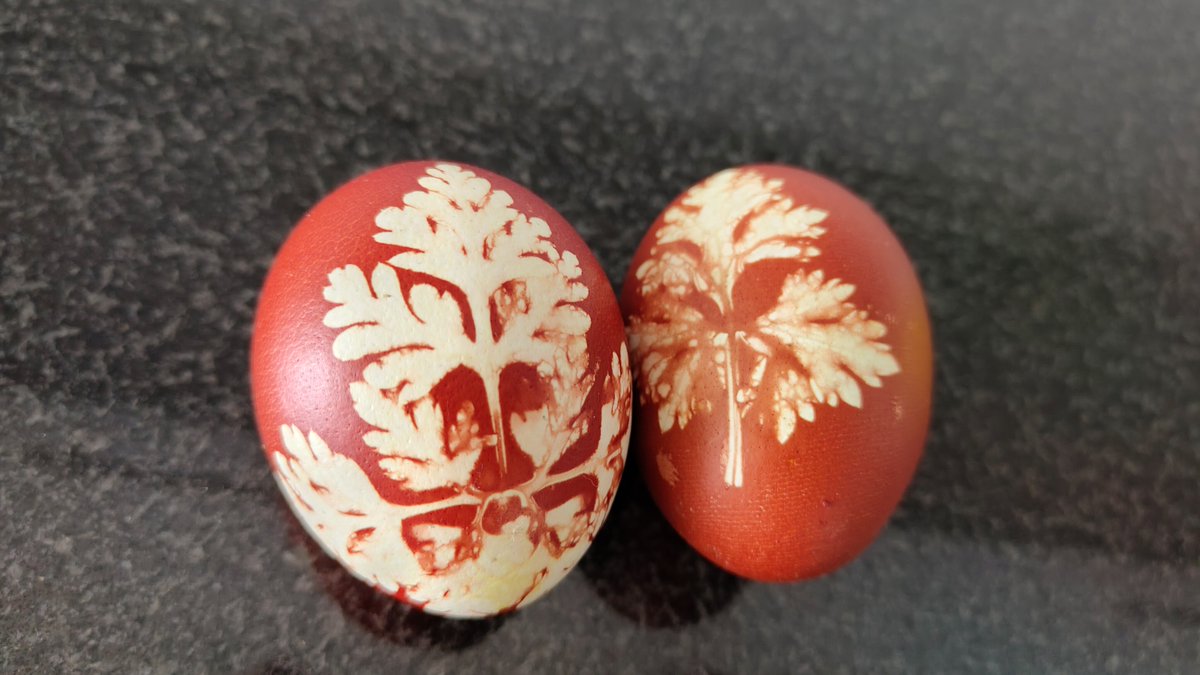 Nastja, die Mox tweet media