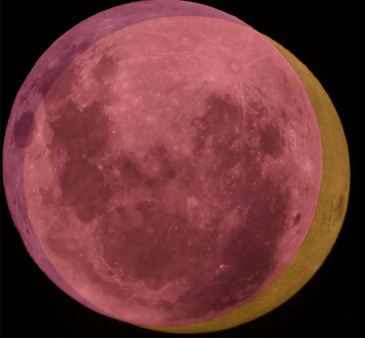 Frankie Galik tweet media