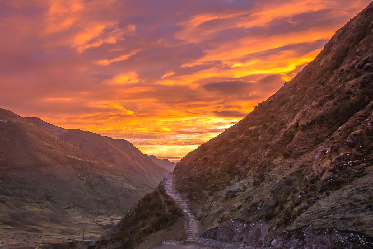 Stephen Diephuis tweet media