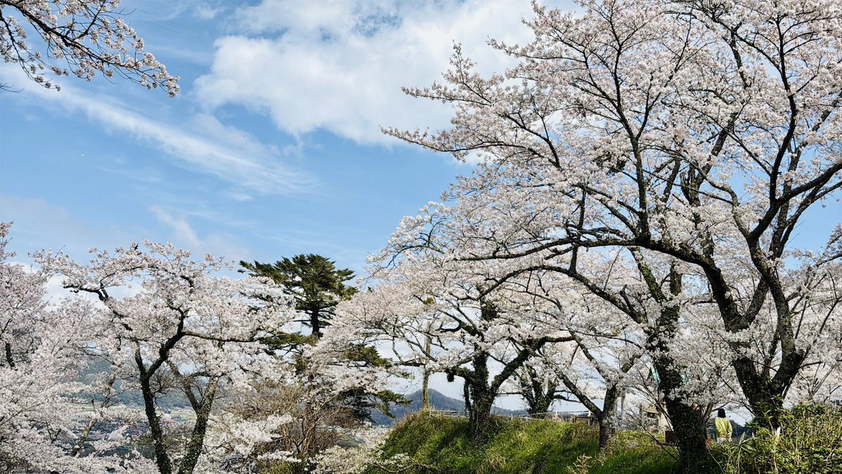 米32♨️ととのうとっとり人♨️ tweet media