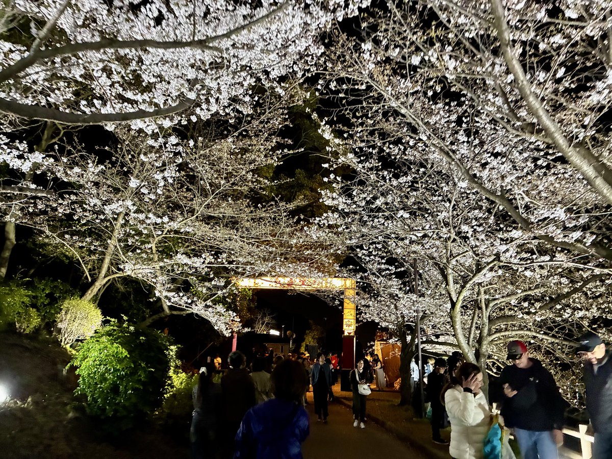 Emi 🎹右手の故障完治✨ tweet media