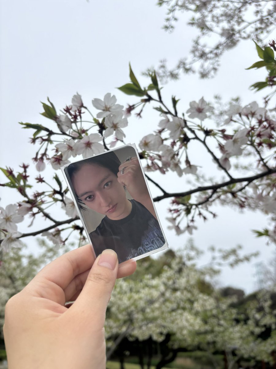 하 나🦋🐰 tweet media