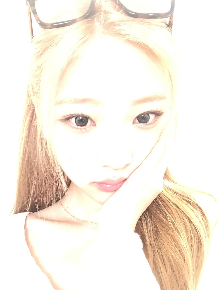 stella pics tweet media