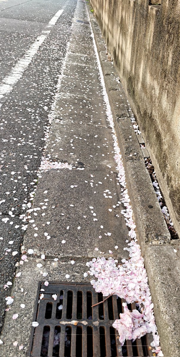 TeaSpoon tweet media