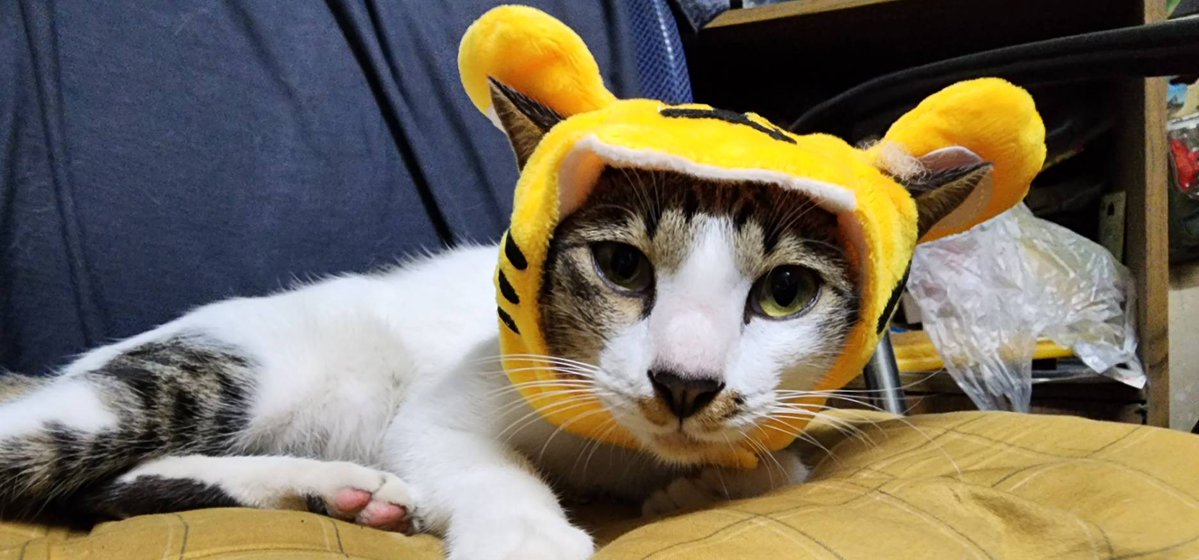 Moverine tweet media