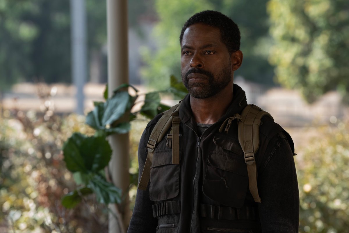 Paradise tweet media