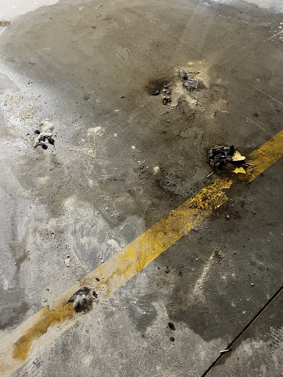 adımenekşe tweet media