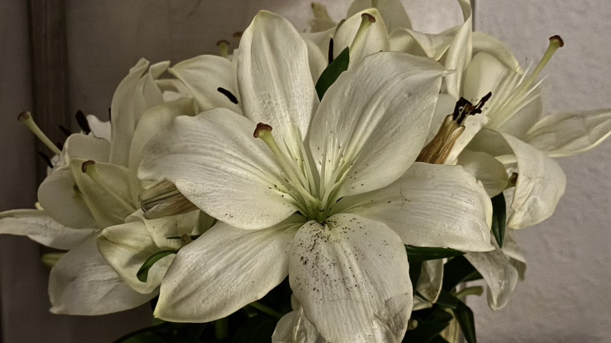 𝗥𝗔𝗛 tweet media