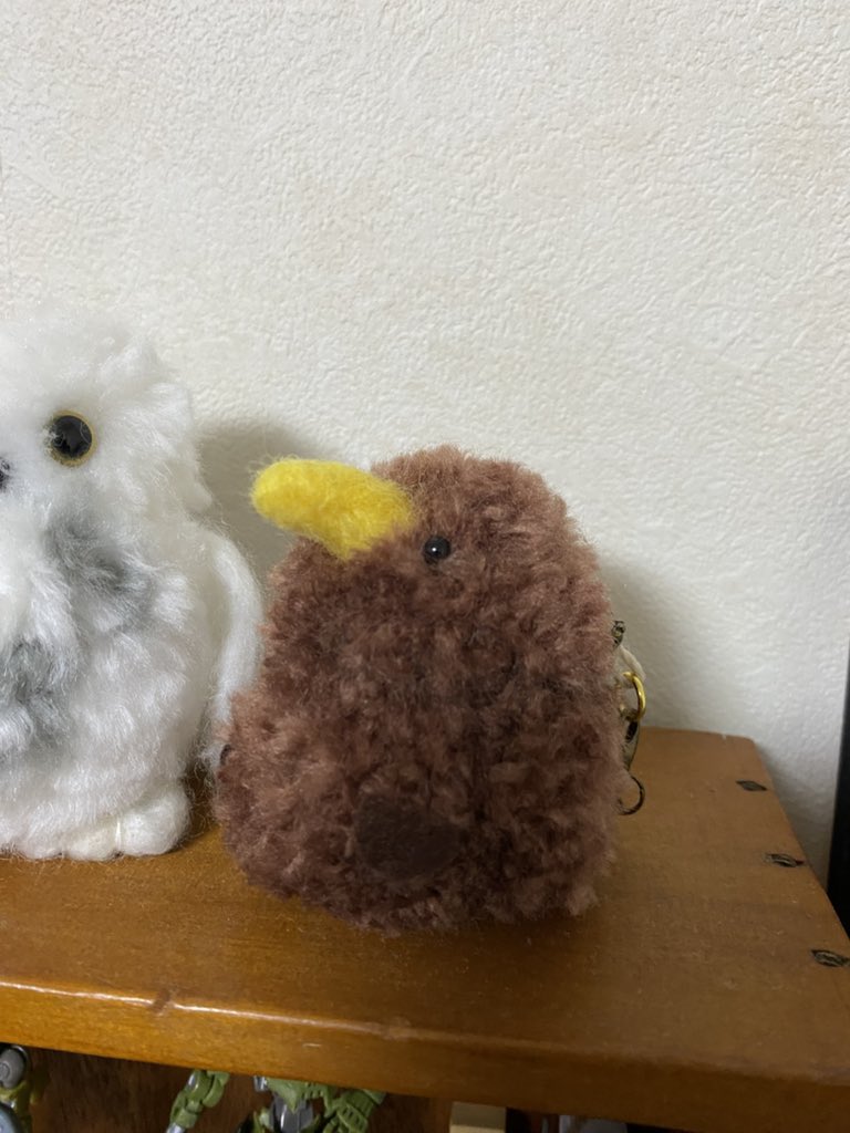 灰のちゅずめ tweet media