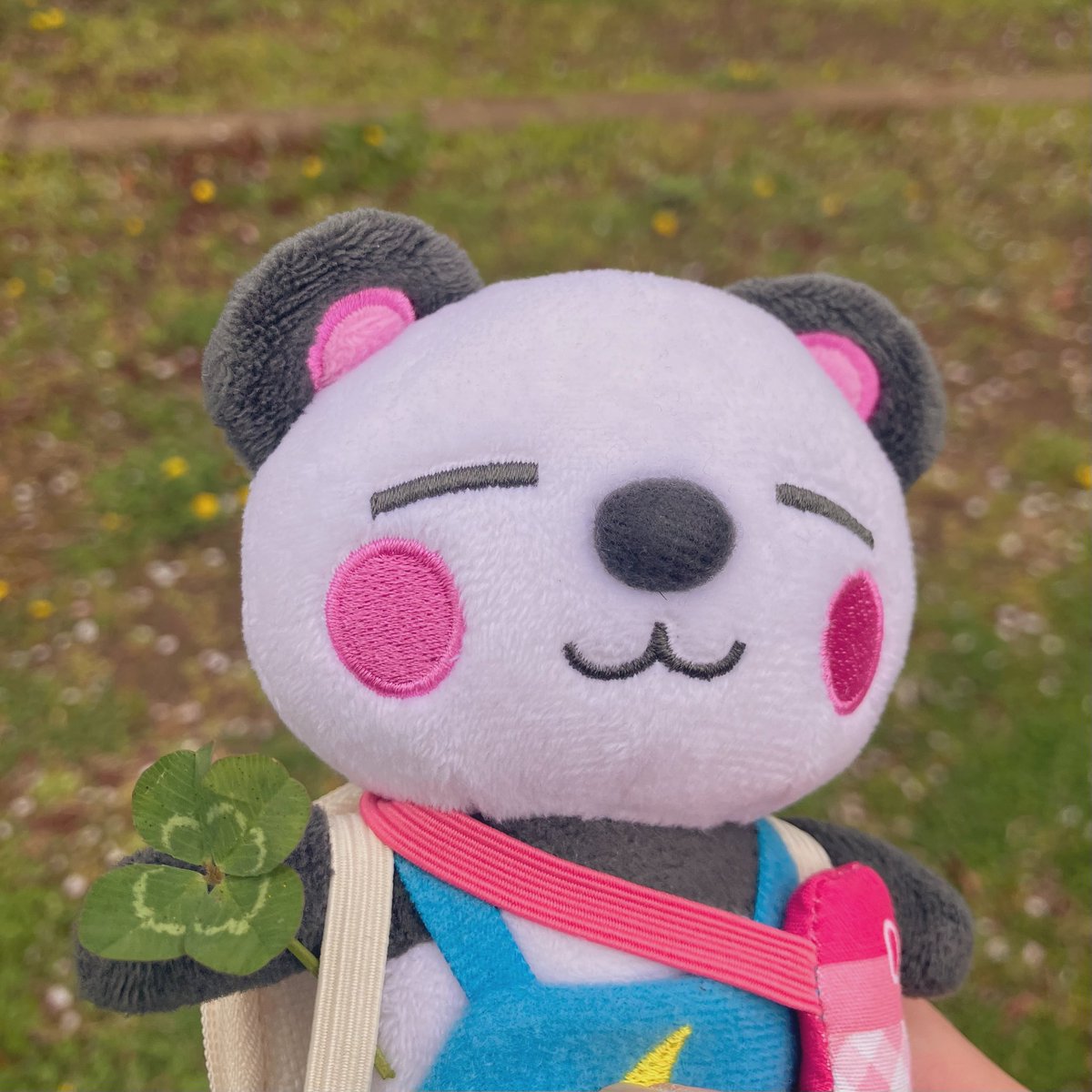 ミミコ🐼 tweet media