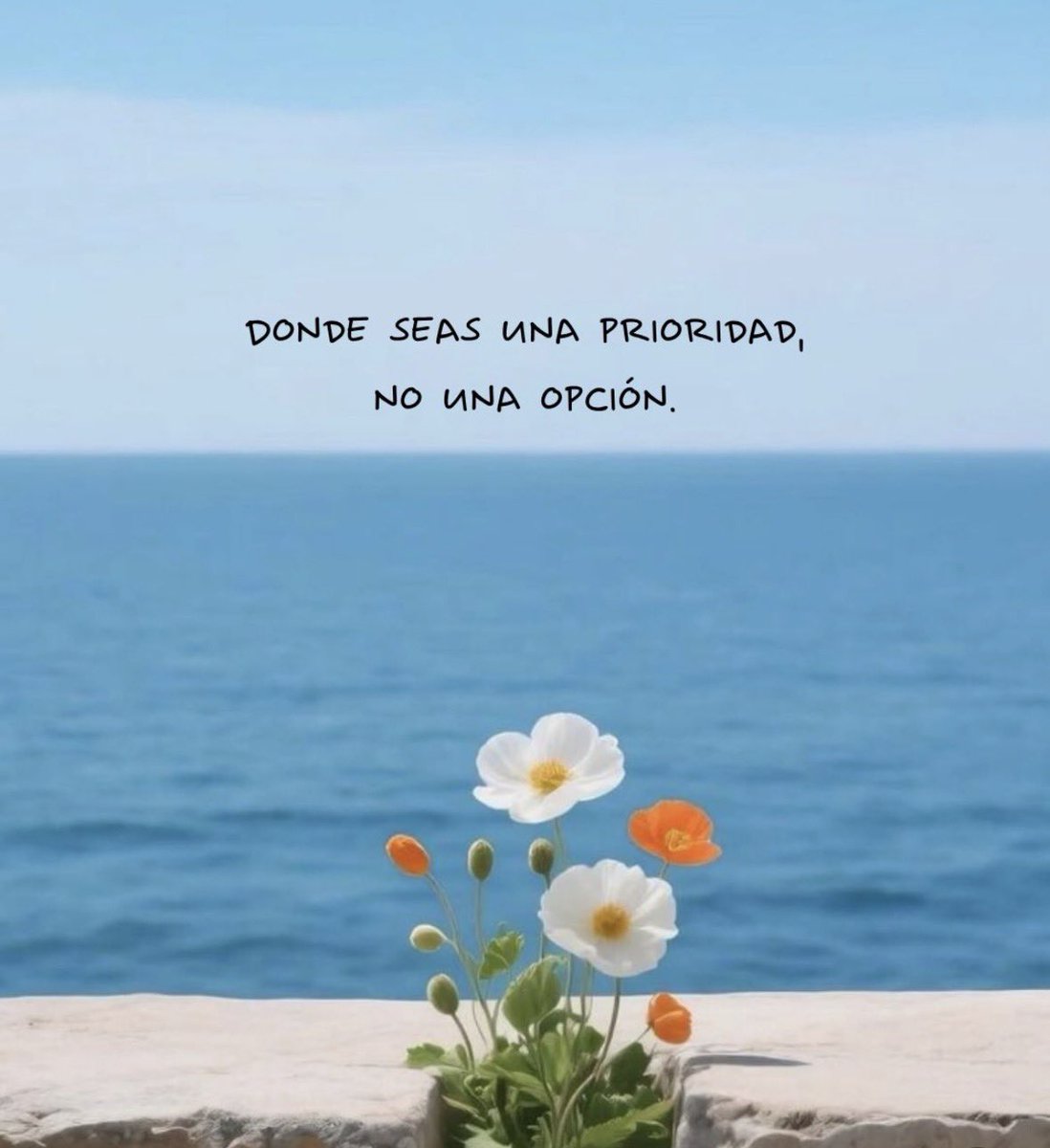 Dilo con dibujos tweet media