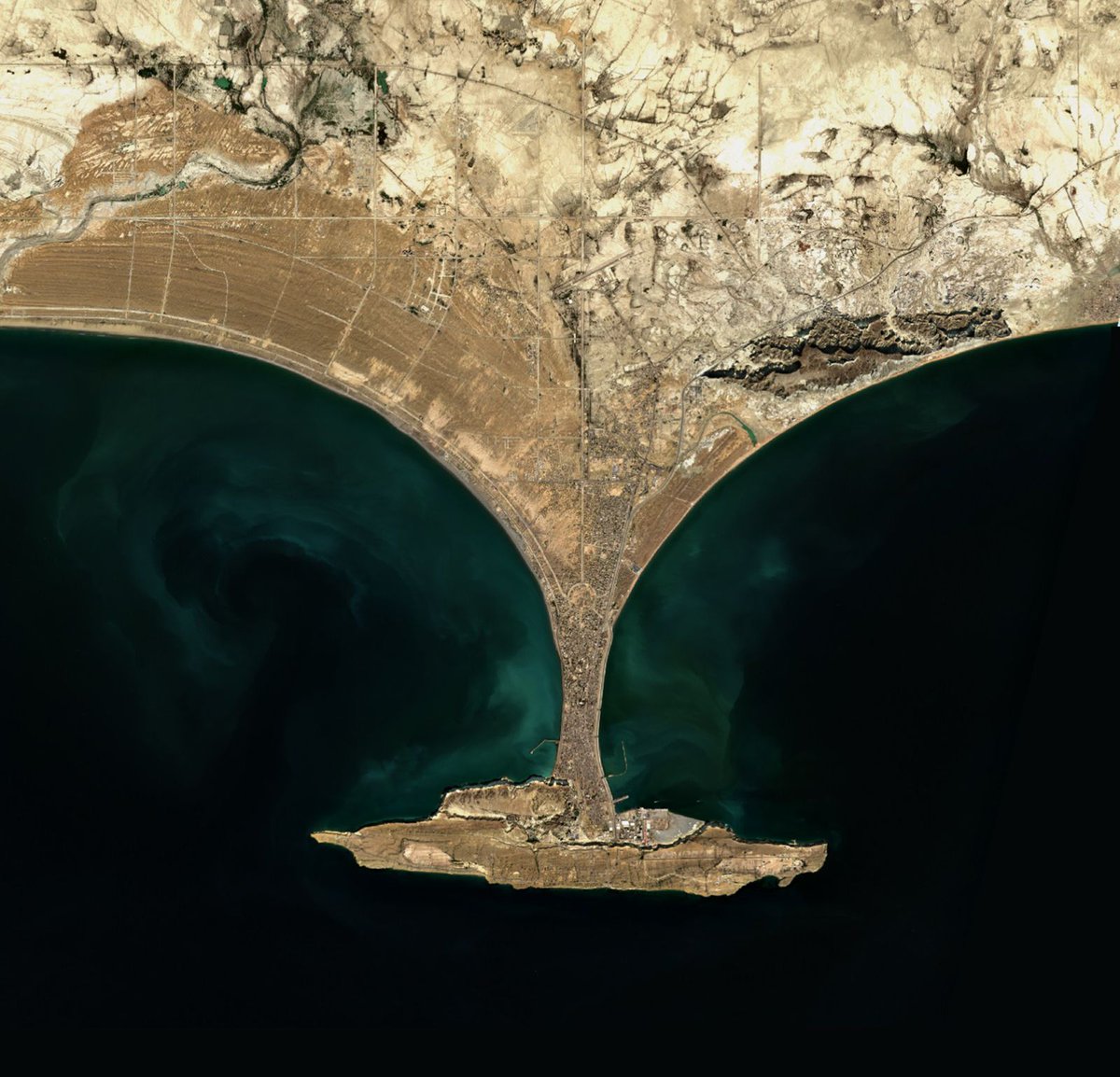 Eagle Eye tweet media