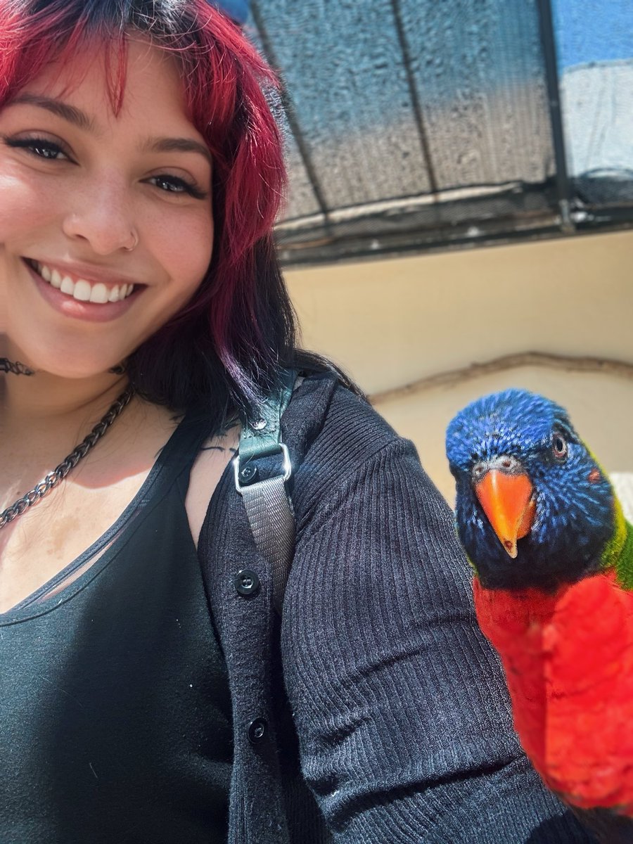 Fatale 🐲 The Dragon Queen | DxF tweet media