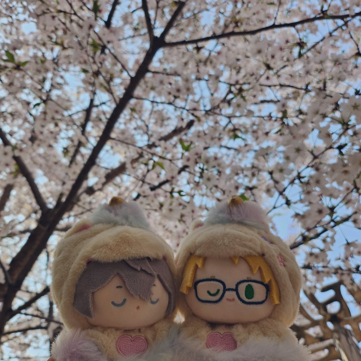 얘들아Ol즈ロr코같이하자 tweet media