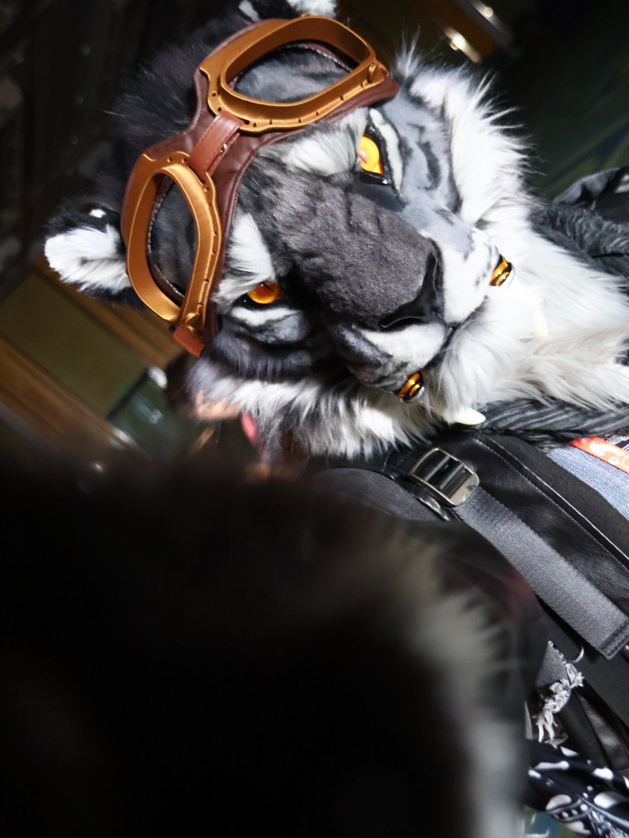 비단견📸🧳🏖✏️🥲 tweet media