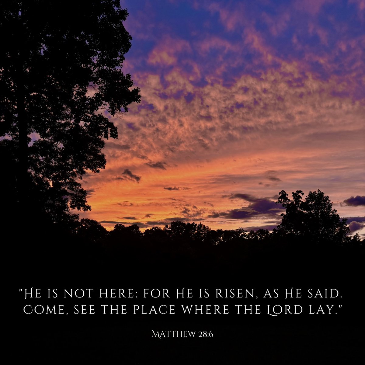 Tim Burchett tweet media