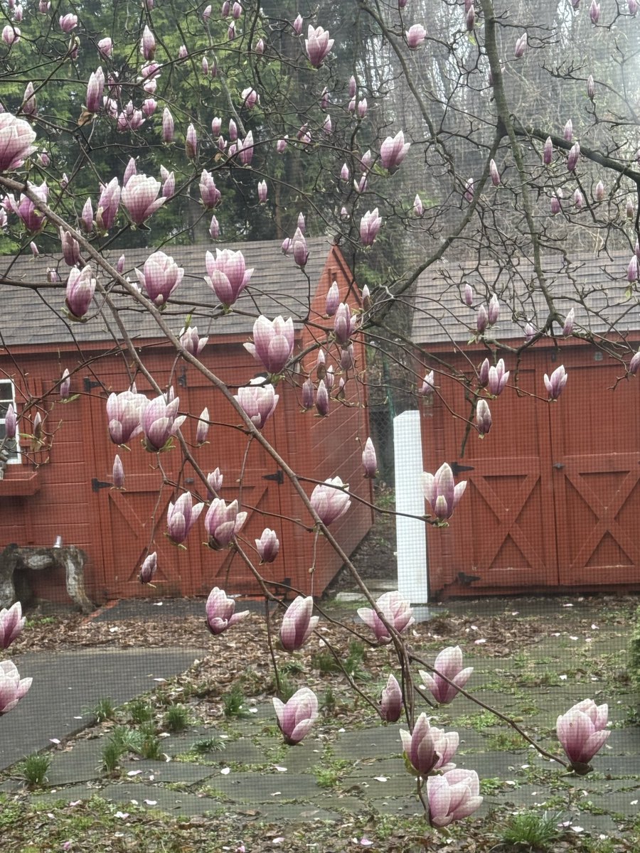 Vernon Reid tweet media