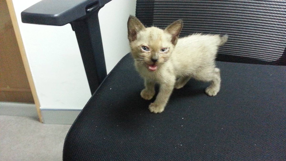 Moverine tweet media