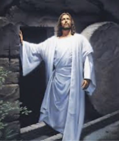 TONY KIM San Gabriel Valley Commercial Property tweet media