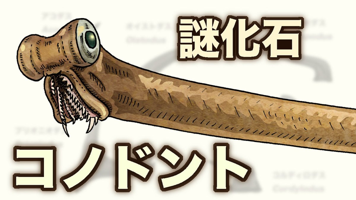 北村雄一の火星人宣伝ラジオ　Radio Martian tweet media